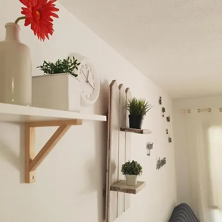 Nahir كوراليهو